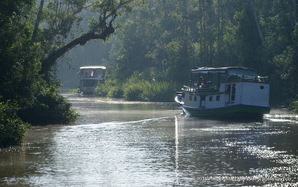 /ecran/Borneo_Bali_2015_0134.jpg