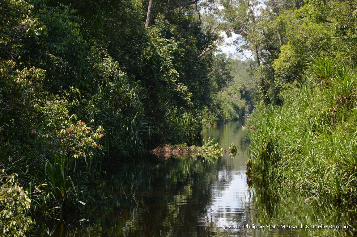/ecran/Borneo_Bali_2015_0252.jpg