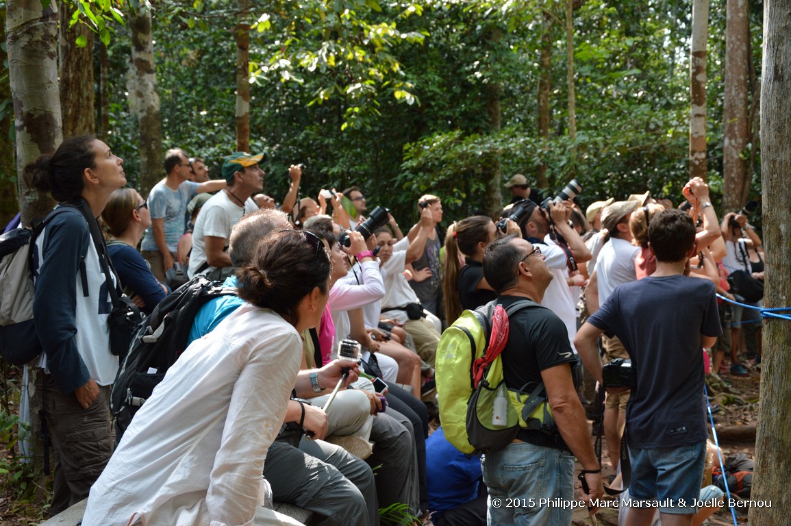 /ecran/Borneo_Bali_2015_0404.jpg