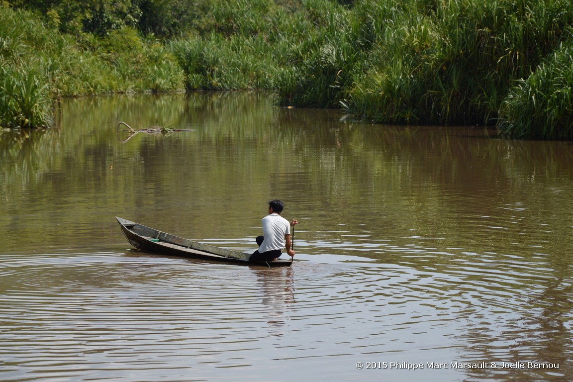 /ecran/Borneo_Bali_2015_0507.jpg