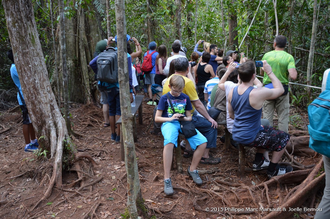 /ecran/Borneo_Bali_2015_0533.jpg