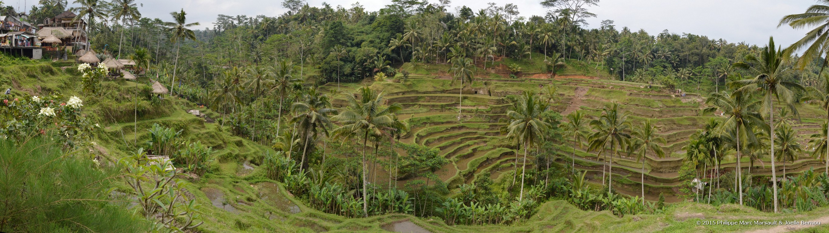 /ecran/Borneo_Bali_2015_0715.jpg