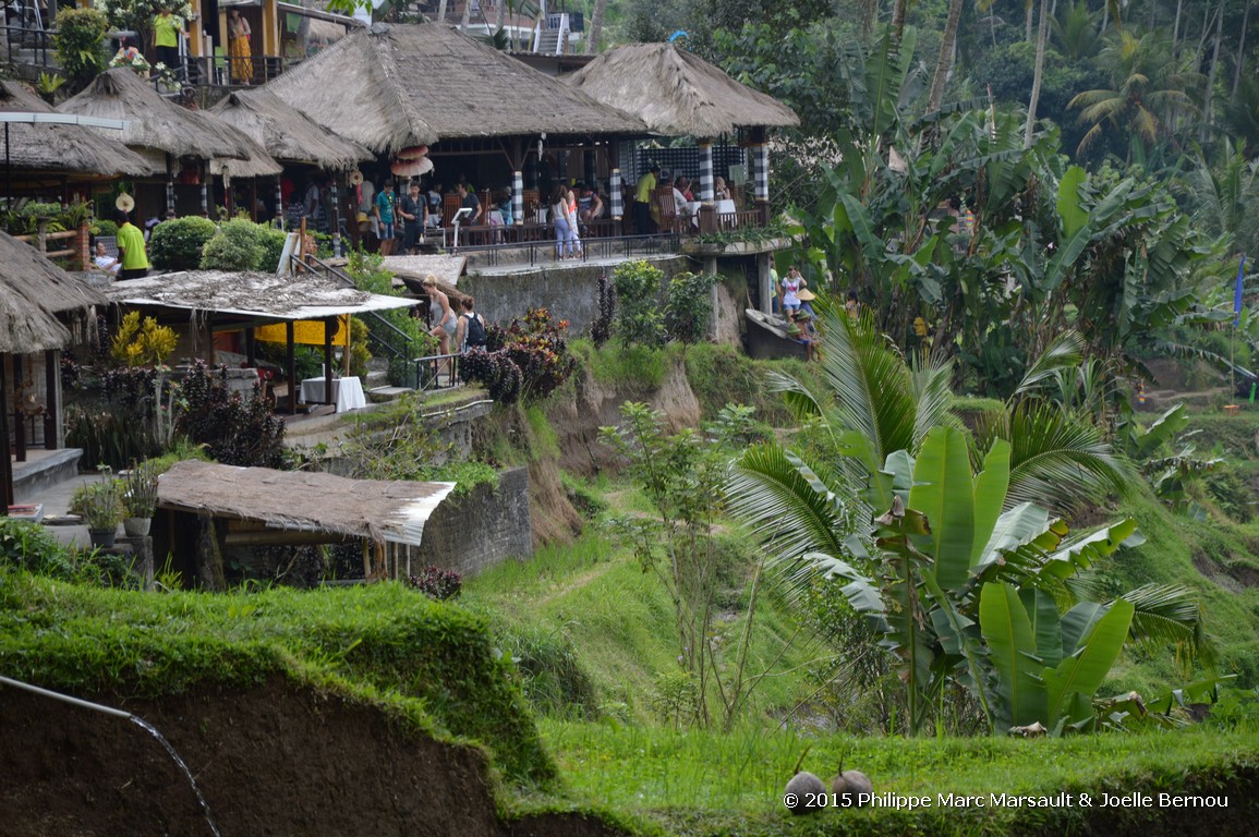 /ecran/Borneo_Bali_2015_0751.jpg