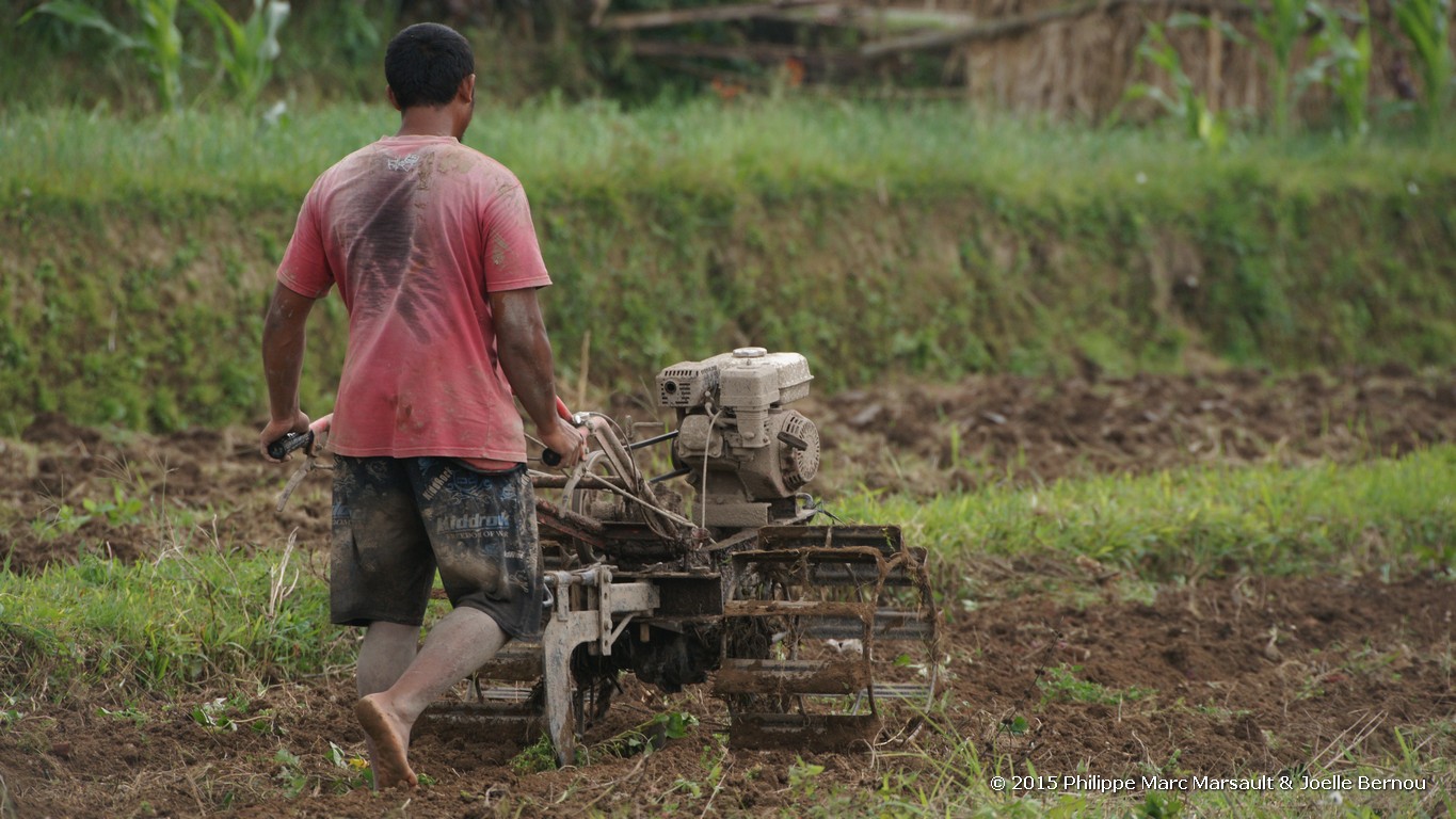 /ecran/Borneo_Bali_2015_0797.jpg