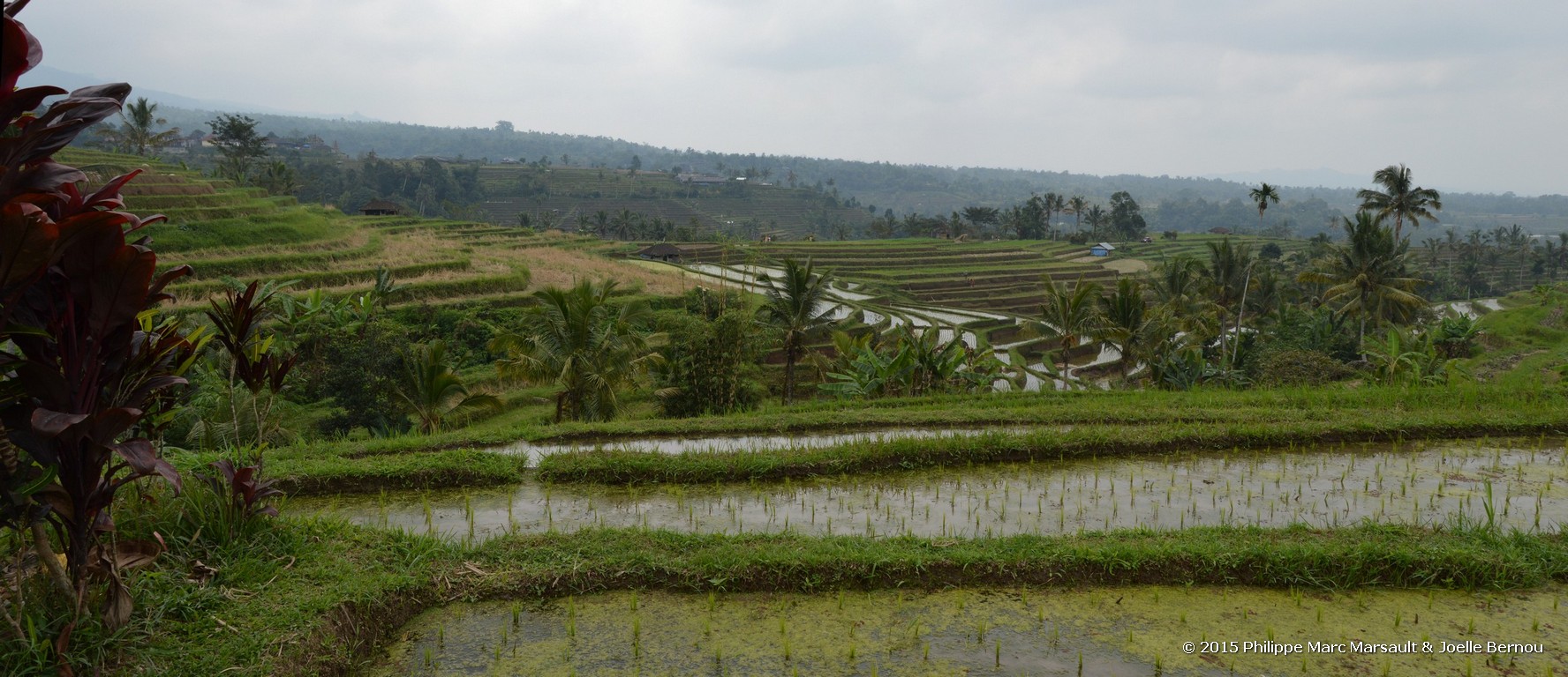 /ecran/Borneo_Bali_2015_0818.jpg