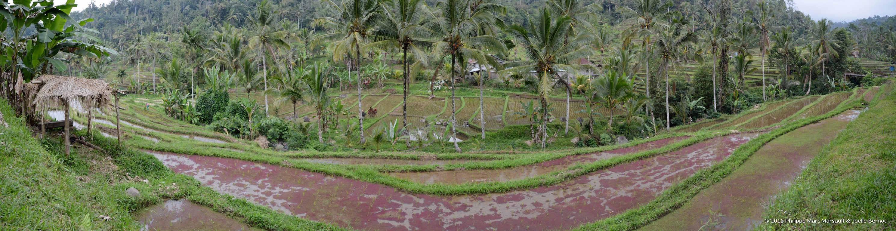 /ecran/Borneo_Bali_2015_0929.jpg