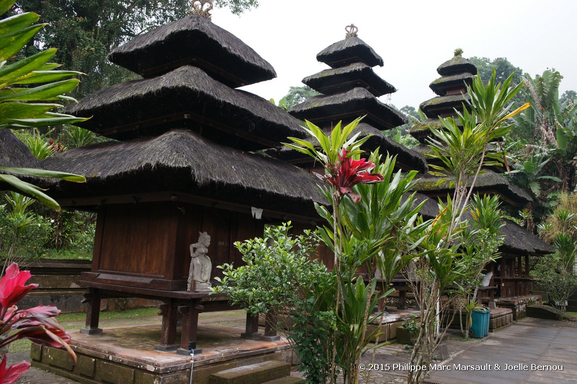 /ecran/Borneo_Bali_2015_0991.jpg