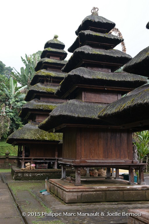 /ecran/Borneo_Bali_2015_1002.jpg