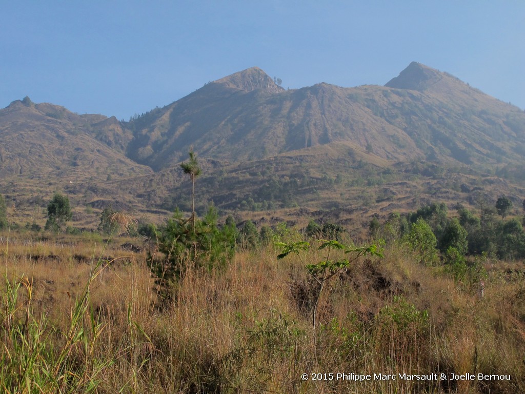 /ecran/Borneo_Bali_2015_1038.jpg