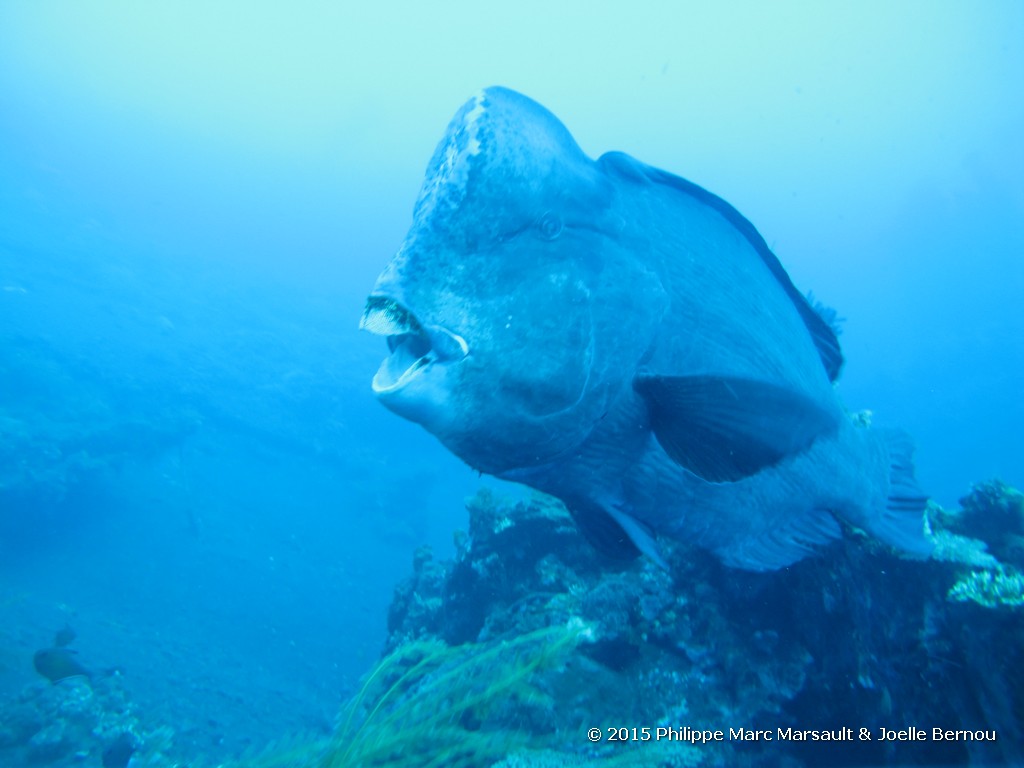 /ecran/Borneo_Bali_2015_1400.jpg