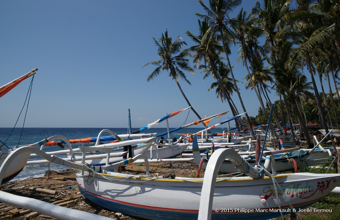 /ecran/Borneo_Bali_2015_1433.jpg