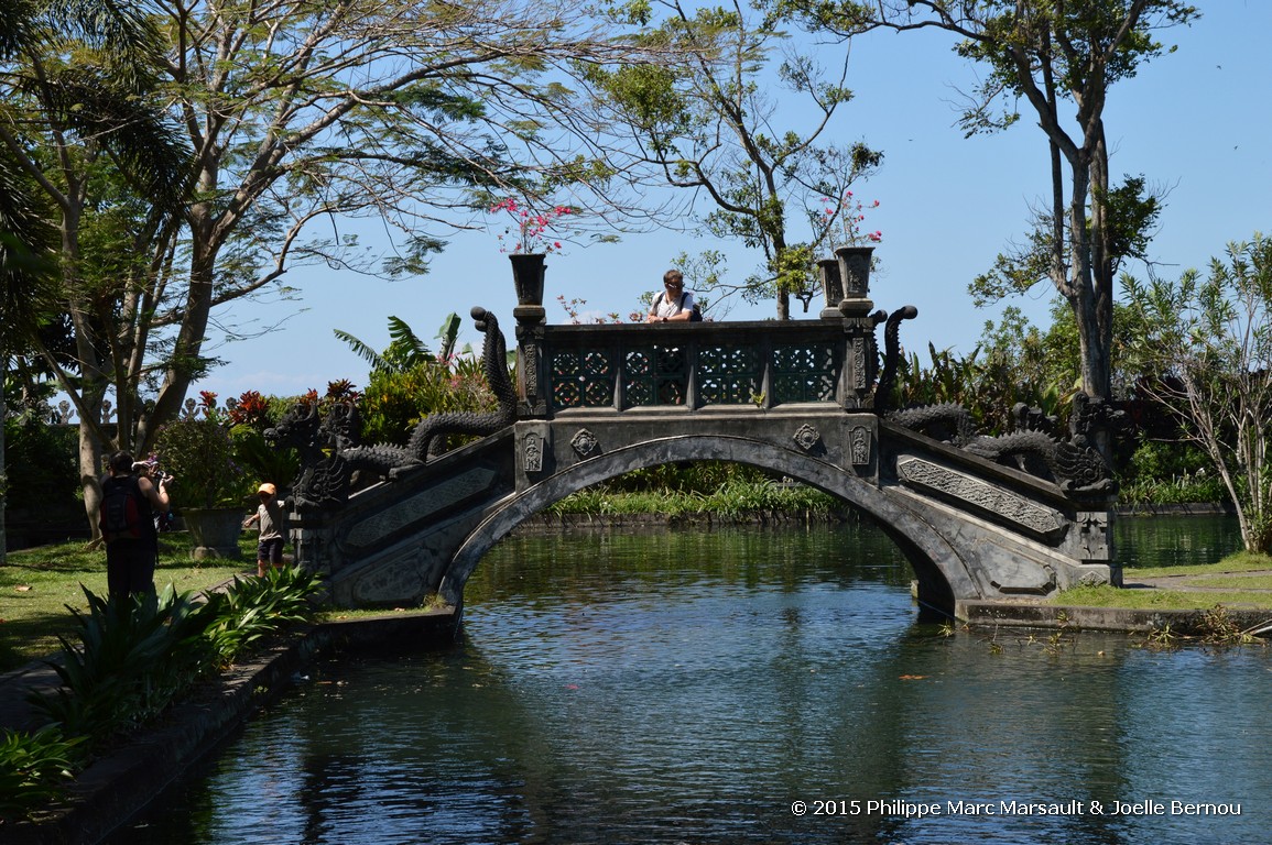 /ecran/Borneo_Bali_2015_1480.jpg