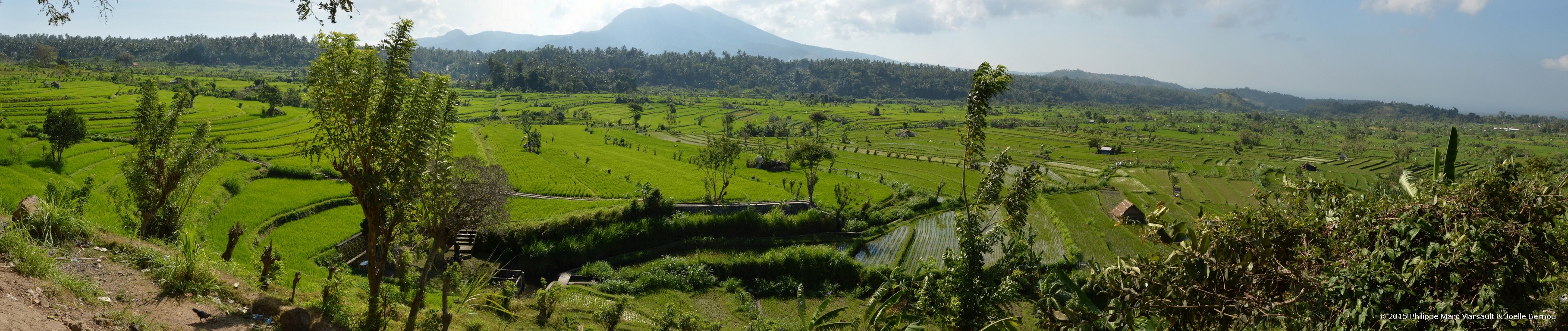 /ecran/Borneo_Bali_2015_1540.jpg