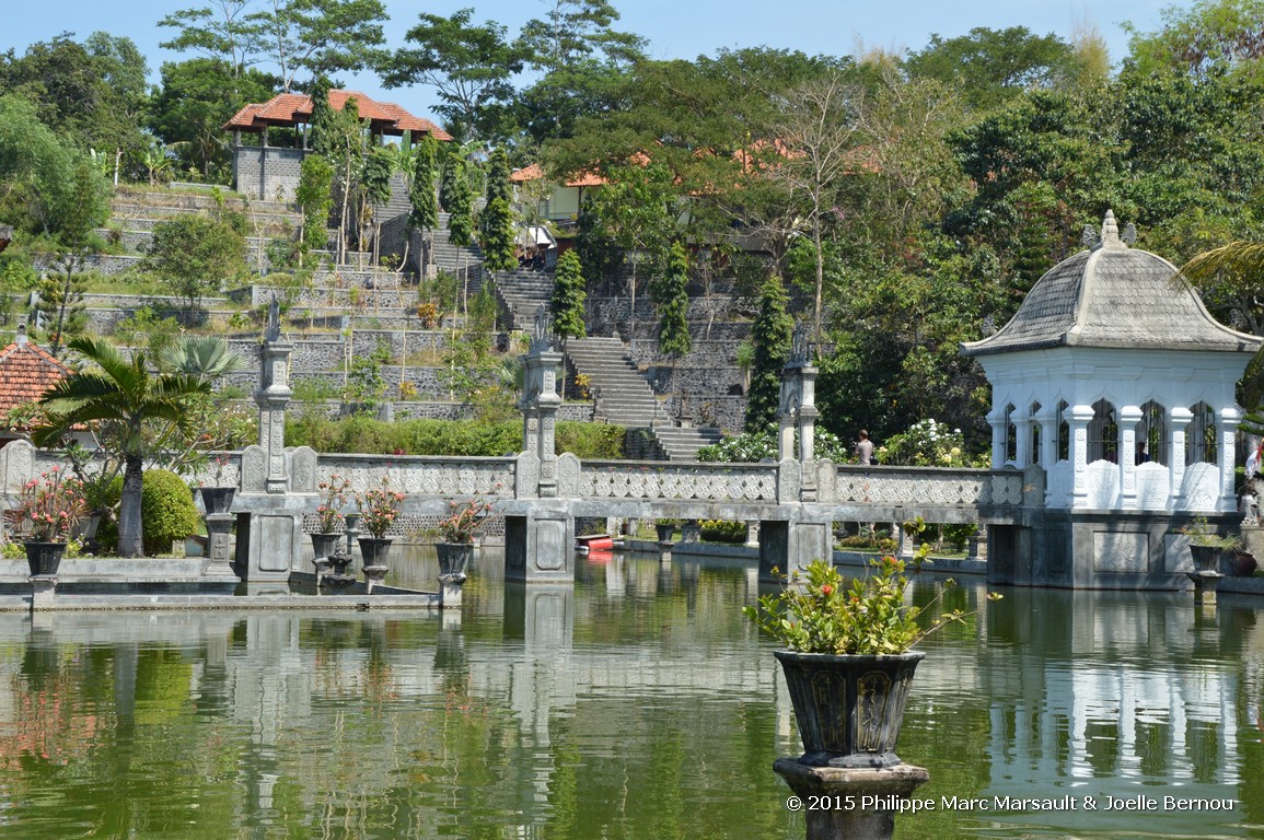 /ecran/Borneo_Bali_2015_1589.jpg