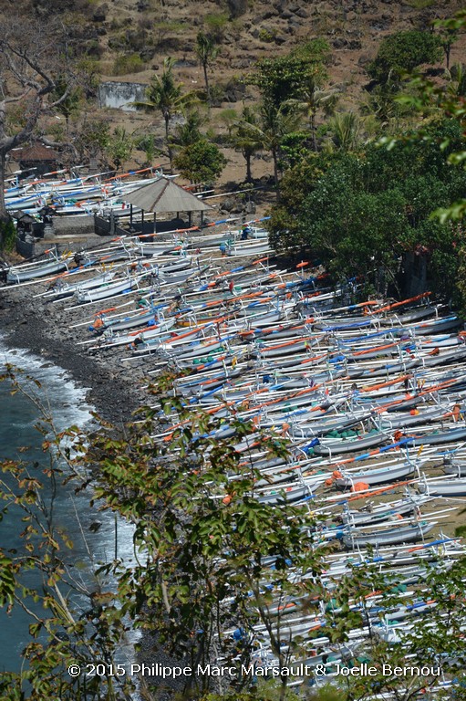 /ecran/Borneo_Bali_2015_1634.jpg