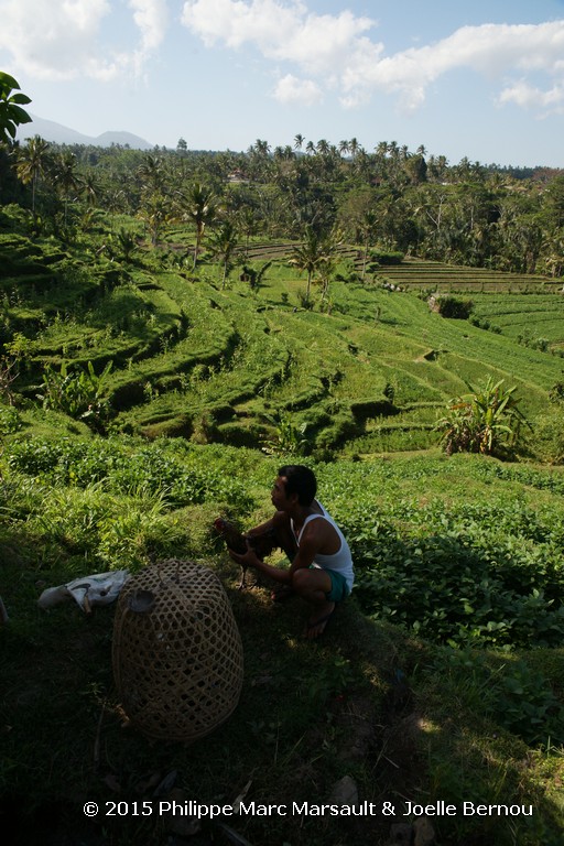 /ecran/Borneo_Bali_2015_1723.jpg