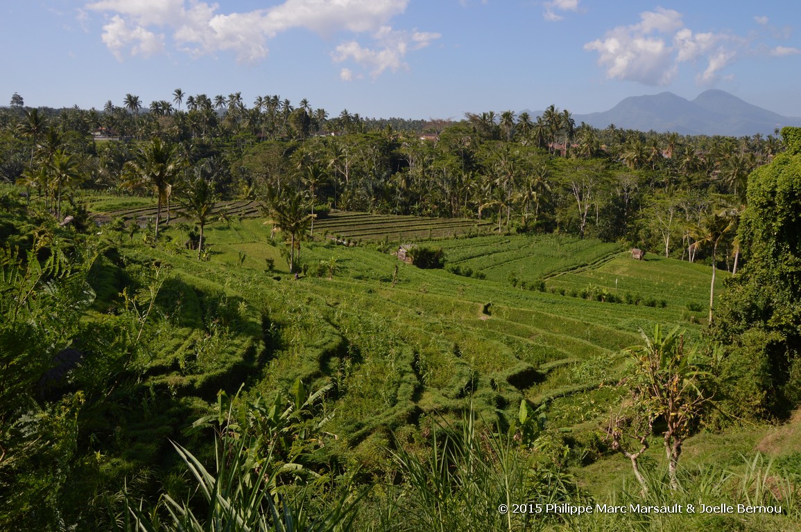 /ecran/Borneo_Bali_2015_1725.jpg