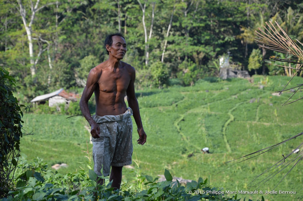 /ecran/Borneo_Bali_2015_1734.jpg