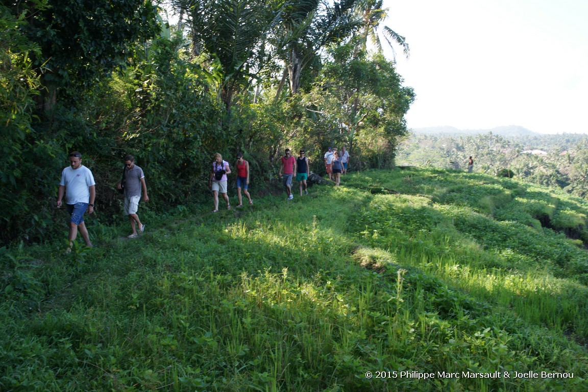 /ecran/Borneo_Bali_2015_1738.jpg