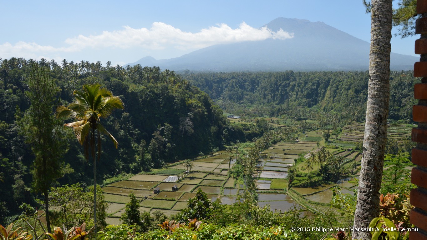 /ecran/Borneo_Bali_2015_1824.jpg