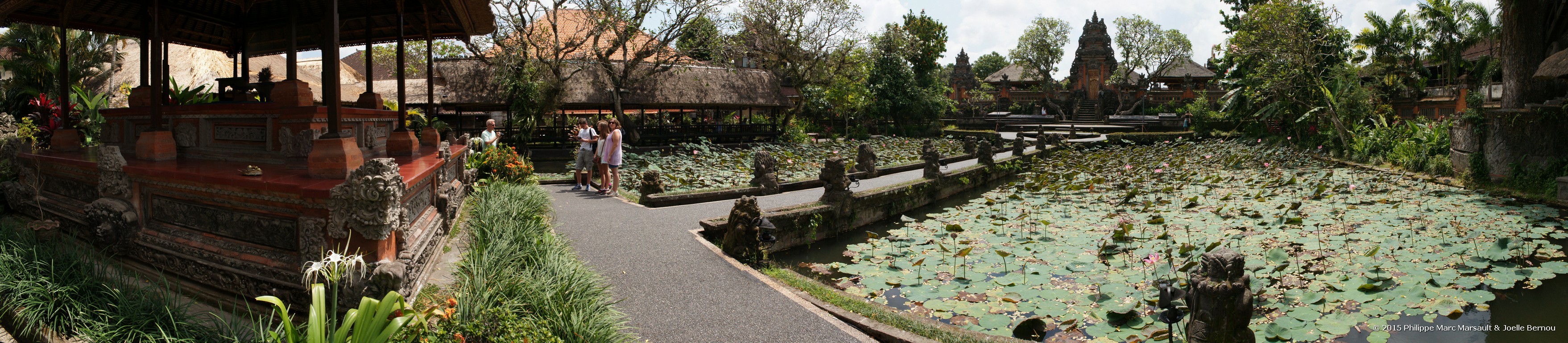 /ecran/Borneo_Bali_2015_1954.jpg