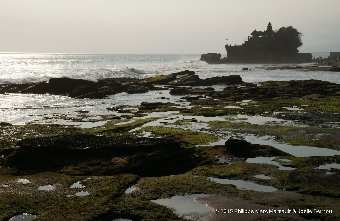 /ecran/Borneo_Bali_2015_1994.jpg