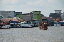 vignette Borneo_Bali_2015_0032.jpg 
