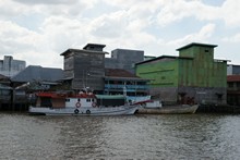 vignette Borneo_Bali_2015_0043.jpg 