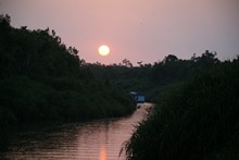 vignette Borneo_Bali_2015_0121.jpg 