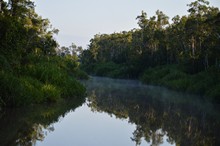 vignette Borneo_Bali_2015_0128.jpg 