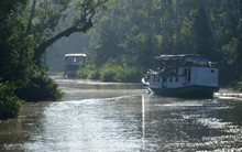 vignette Borneo_Bali_2015_0134.jpg 