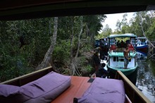 vignette Borneo_Bali_2015_0259.jpg 