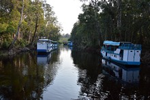 vignette Borneo_Bali_2015_0346.jpg 