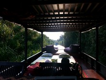 vignette Borneo_Bali_2015_0349.jpg 