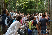 vignette Borneo_Bali_2015_0404.jpg 
