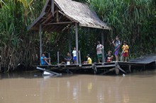 vignette Borneo_Bali_2015_0497.jpg 