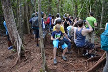vignette Borneo_Bali_2015_0533.jpg 