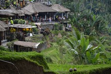 vignette Borneo_Bali_2015_0751.jpg 