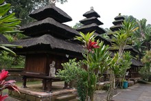 vignette Borneo_Bali_2015_0991.jpg 