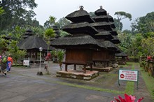 vignette Borneo_Bali_2015_0992.jpg 