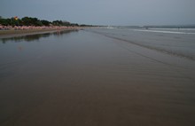 vignette Borneo_Bali_2015_1057.jpg 