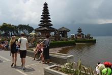 vignette Borneo_Bali_2015_1093.jpg 