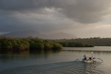 vignette Borneo_Bali_2015_1124.jpg 