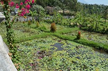 vignette Borneo_Bali_2015_1585.jpg 