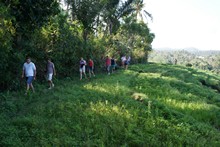 vignette Borneo_Bali_2015_1738.jpg 