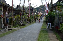 vignette Borneo_Bali_2015_1771.jpg 