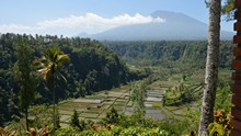 vignette Borneo_Bali_2015_1824.jpg 