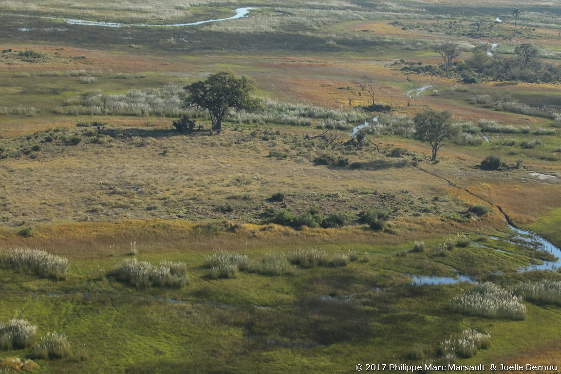 /ecran/Botswana_2017_0044.jpg