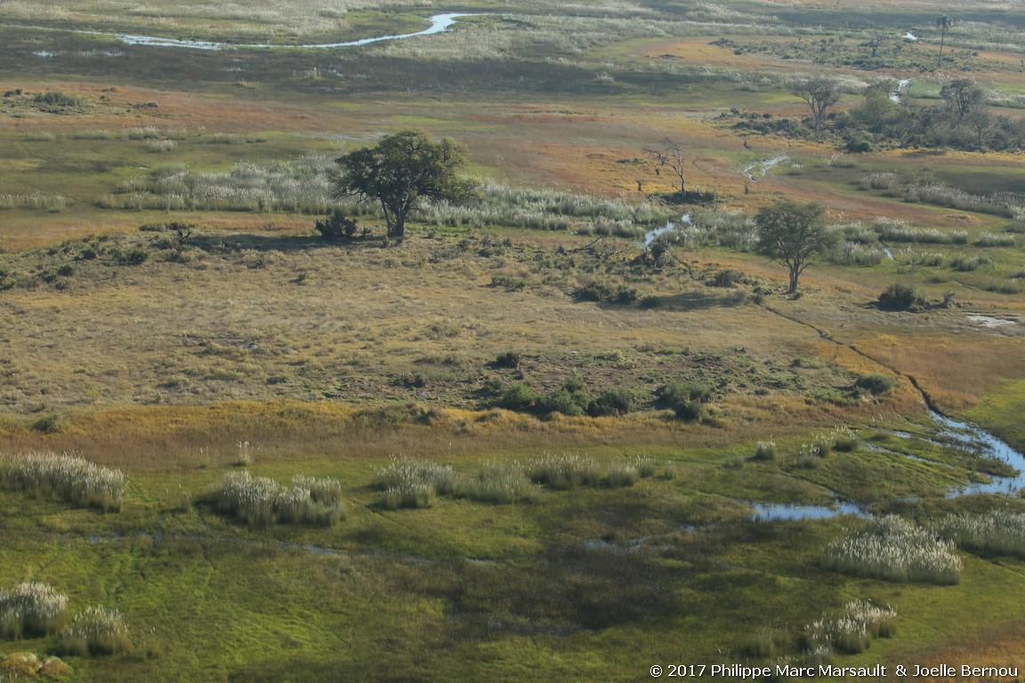 /ecran/Botswana_2017_0044.jpg