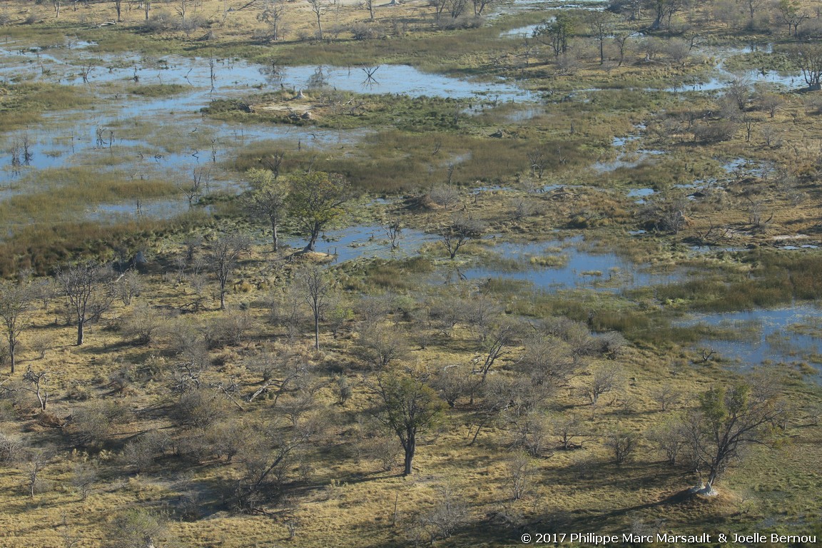 /ecran/Botswana_2017_0051.jpg